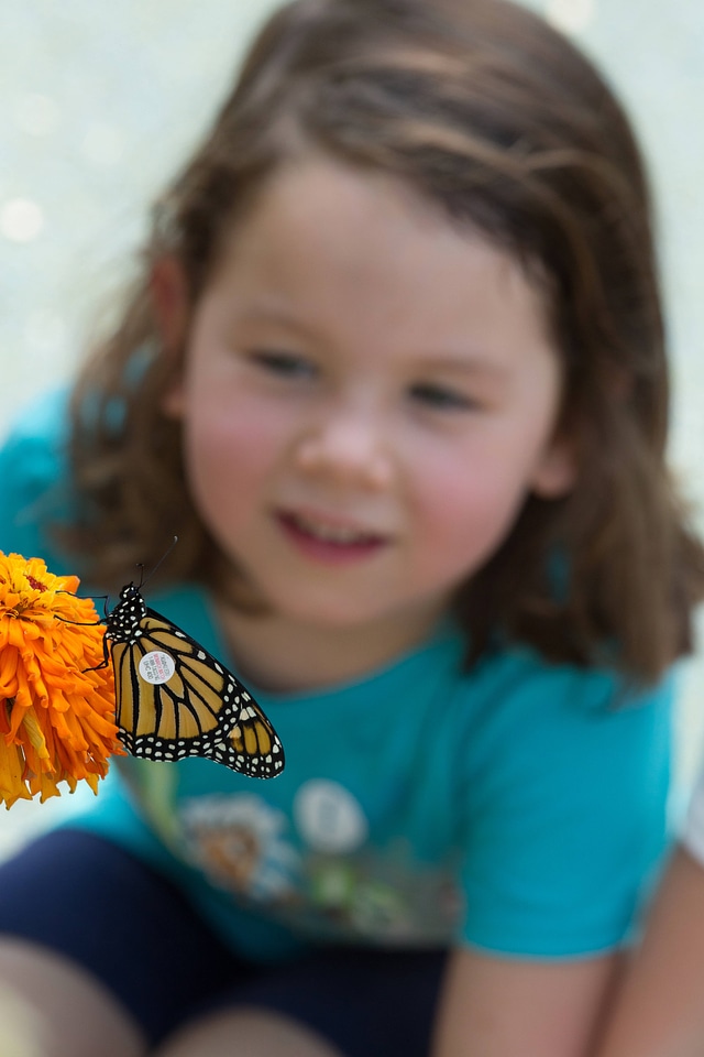 Tagged Monarch and child-2
