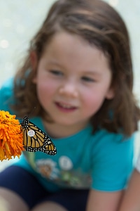 Tagged Monarch and child-2