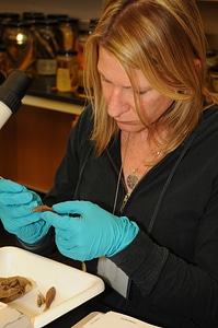 Student identifies fish