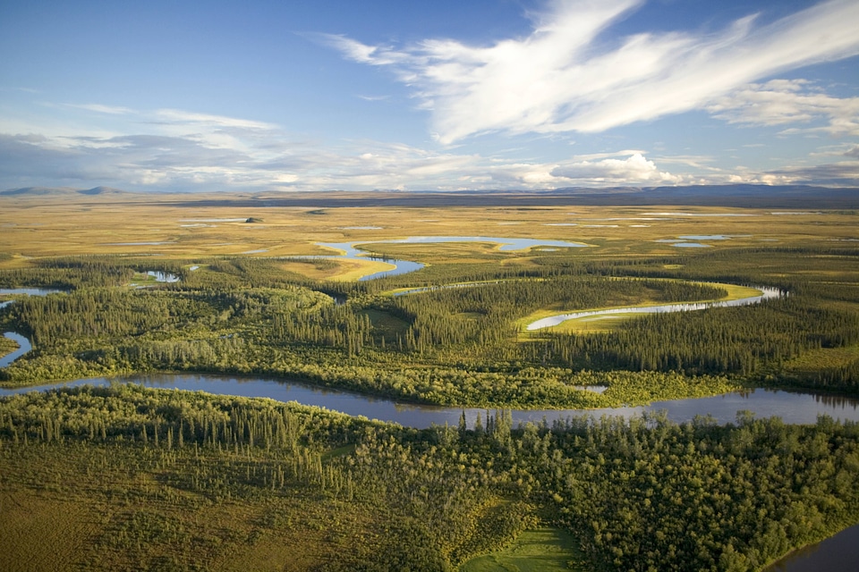 Scenic landscape