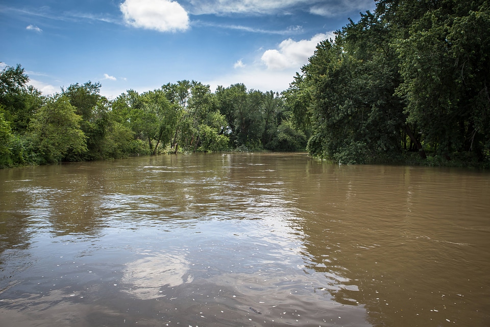 Mazon River scenic