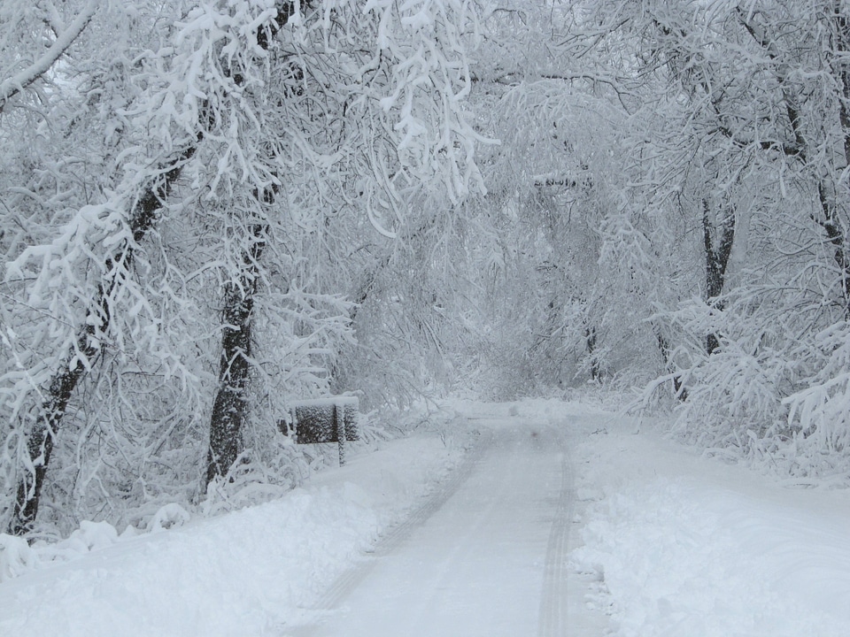 Winter at Trempealeau National Wildlife Refuge