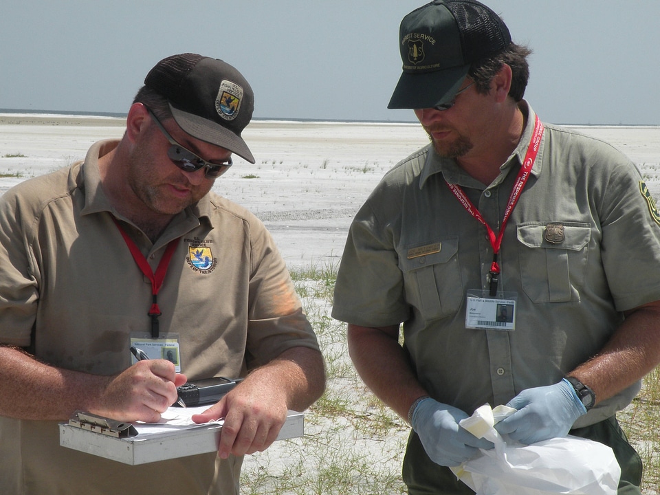 Bird carcass report