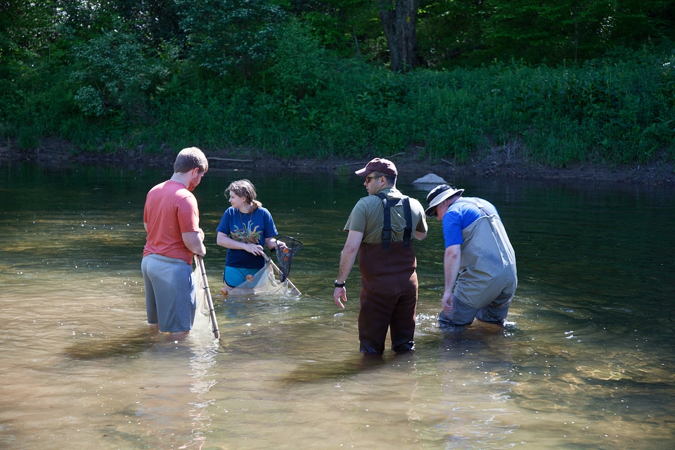 Biology fieldwork
