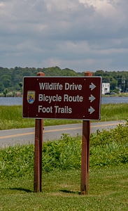 Blackwater NWR wildlife drive sign