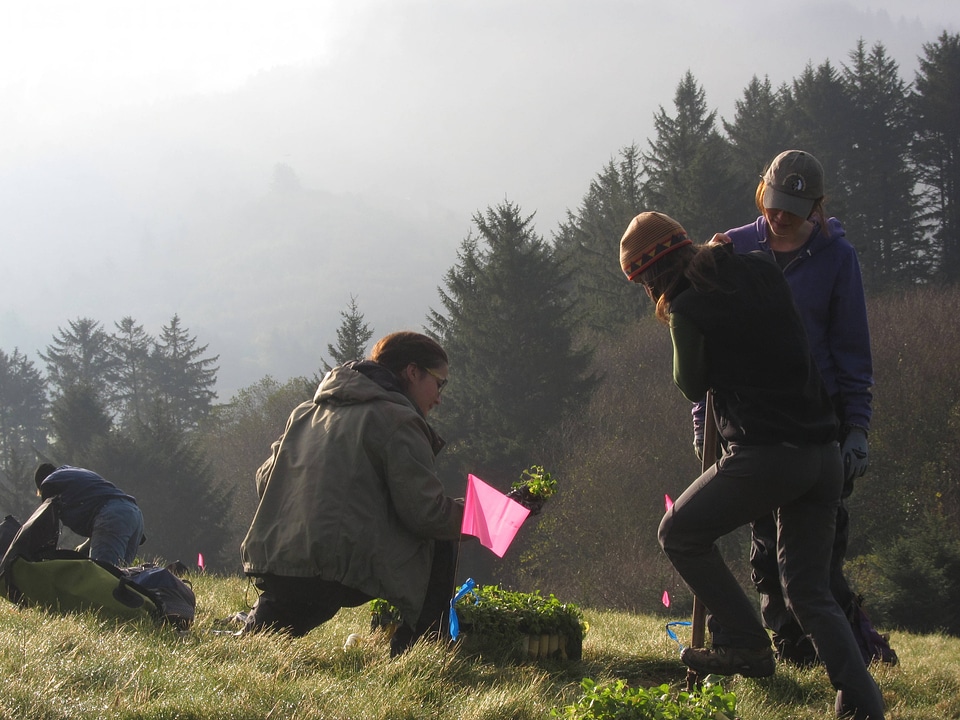 Nestucca Bay NWR Silverspot Recovery 