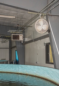 Fans and heaters in Broodstock area in Sturgeon Building