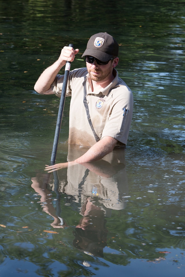 Biologists search for Fountain Darter-2