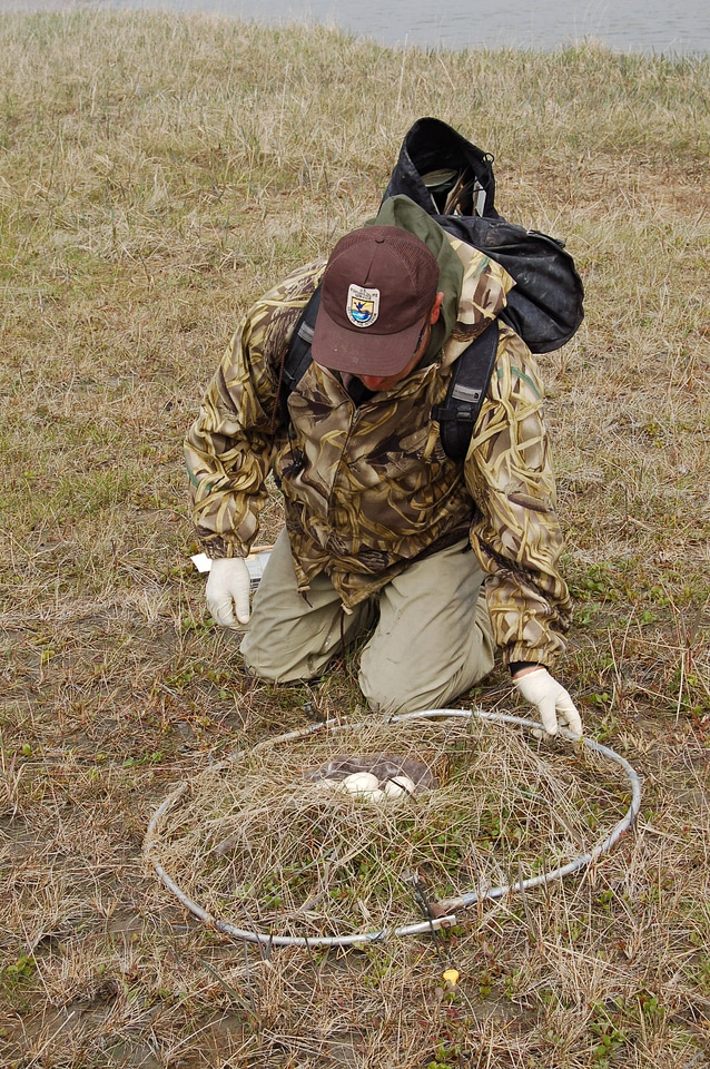 Avian Influenza Sampling Project -1