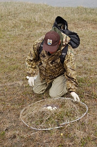 Avian Influenza Sampling Project -1