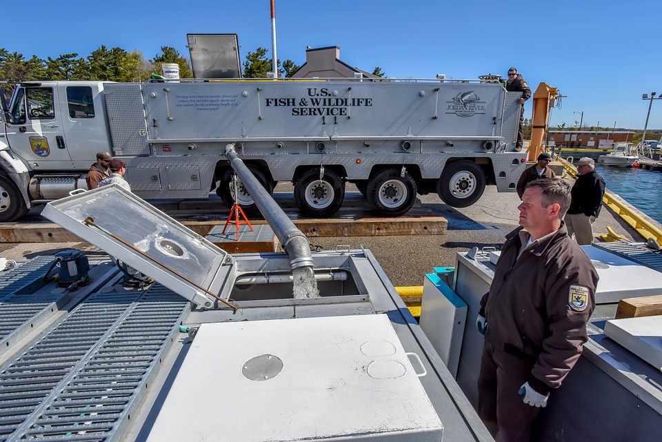 FWS staff loading juvenile lake trout onto MV Spencer Baird-1