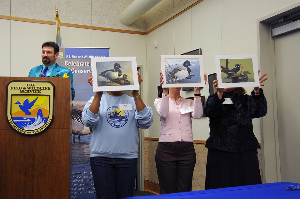 Junior Duck Stamp Contest-1