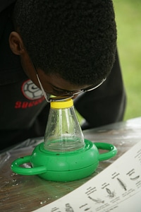 Looking through a child's microscope‎