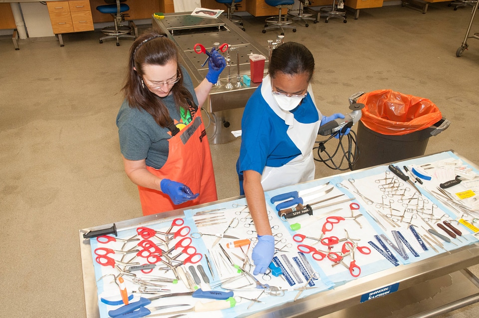 Marine Mammal Stranding Course at NCTC-1