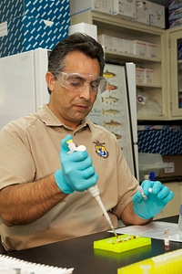 Service scientist conducts ELISA tests