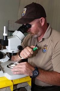 Biologist raises endangered freshwater mussels