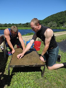 Biologists sort freshwater mussels