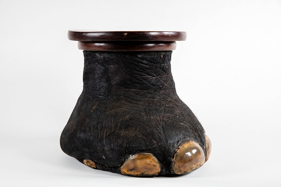 Elephant foot garbage can 