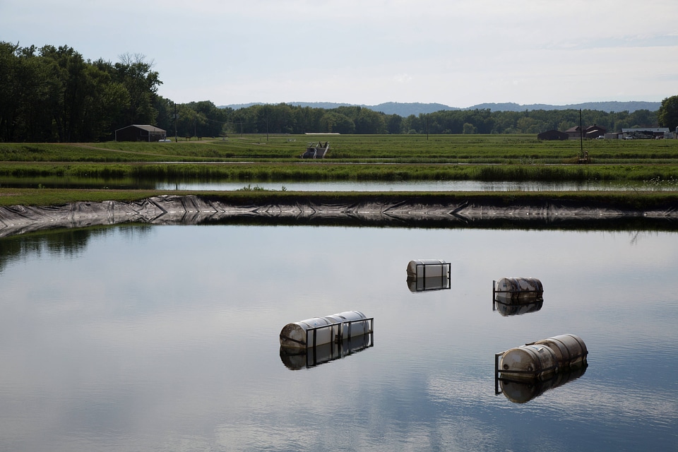 Suspended mussel cages at Genoa NFH-1