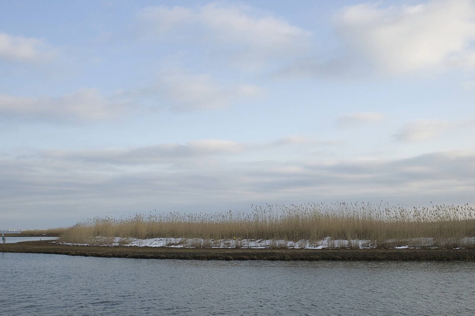 View from the Wildlife Drive