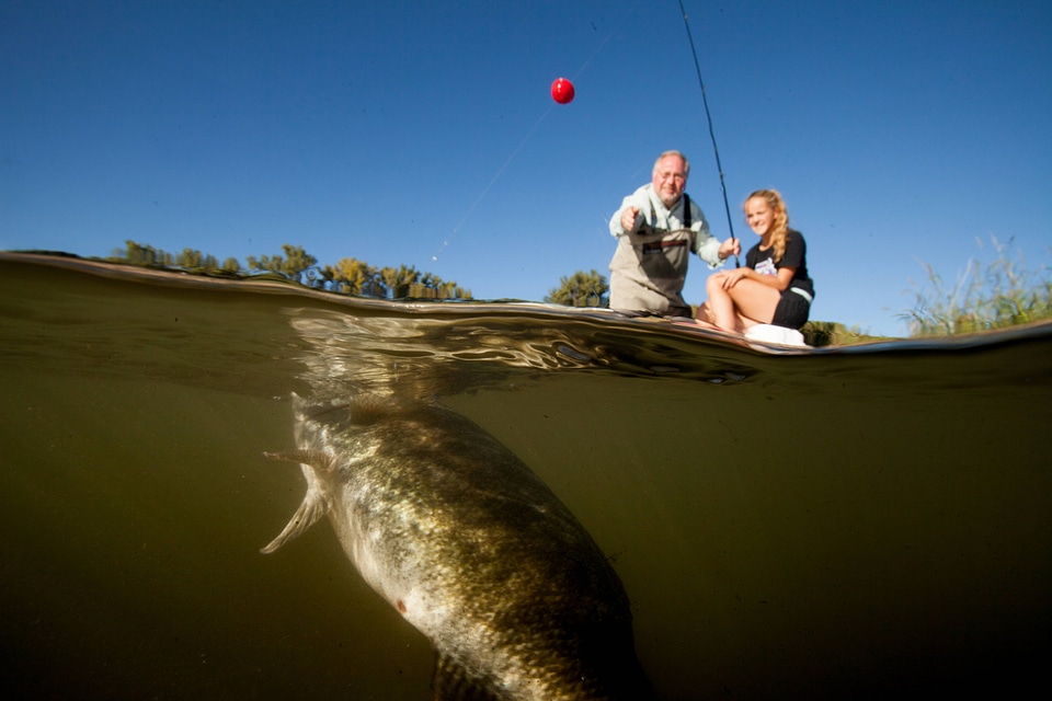 Fishing for Smallmouth bass