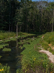 Hatchery Creek extension with fisherman-1
