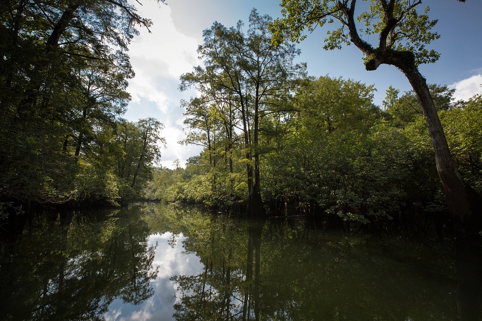 Choctawhatchee River-1