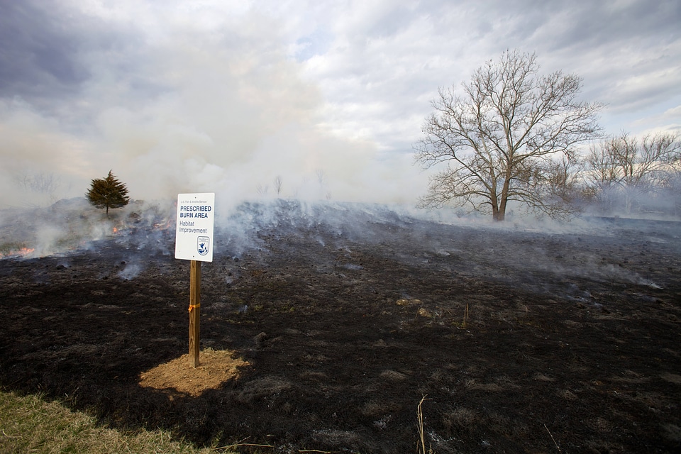 Prescribed burn at NCTC-1