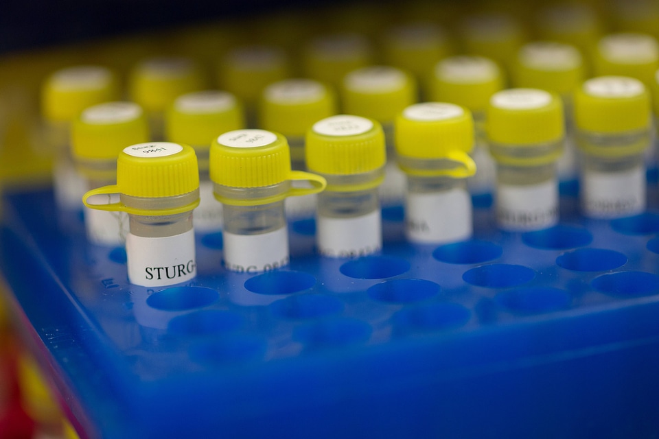 Genetic samples