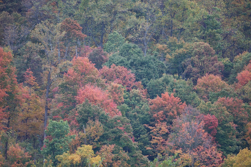 Fall colors in Harpers Ferry WV