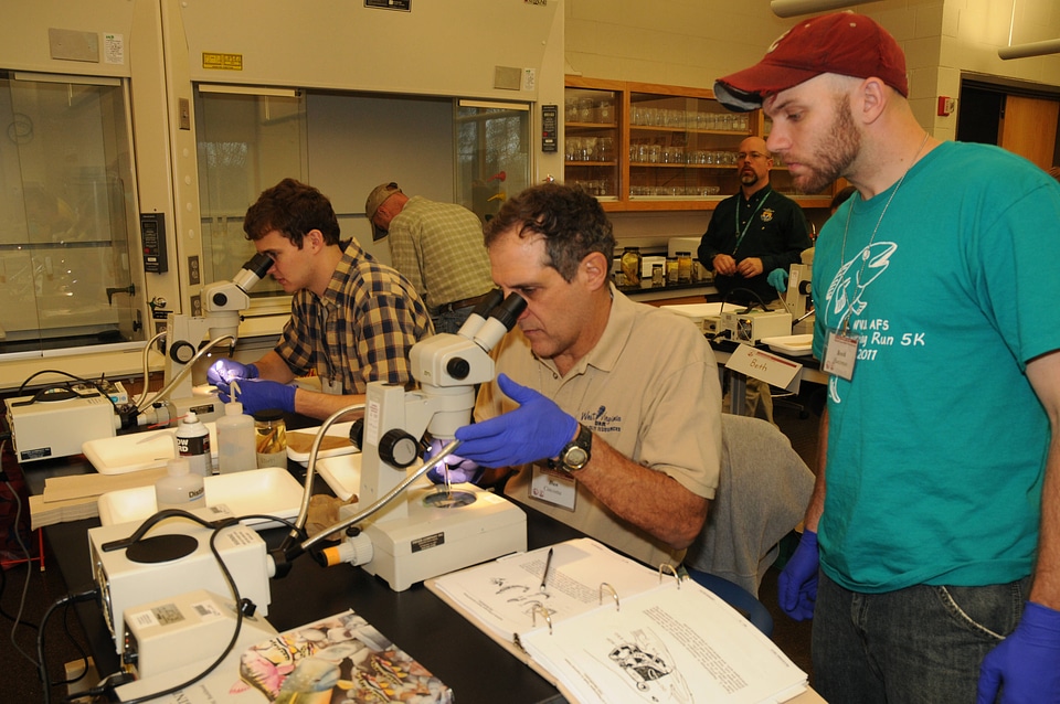 Students in the classroom lab-2