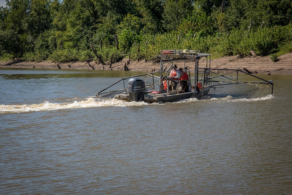 U.S. Fish and Wildlife Service boat, The Magna Carpa, searching for invasive carp-3