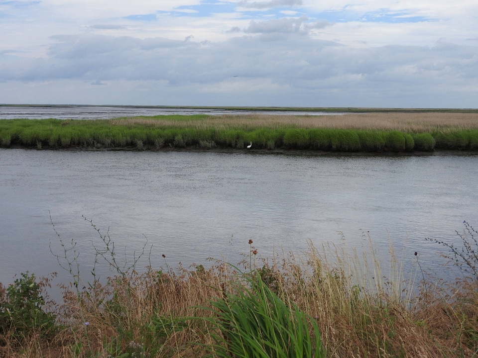 Scenic view along the Wildlife Drive