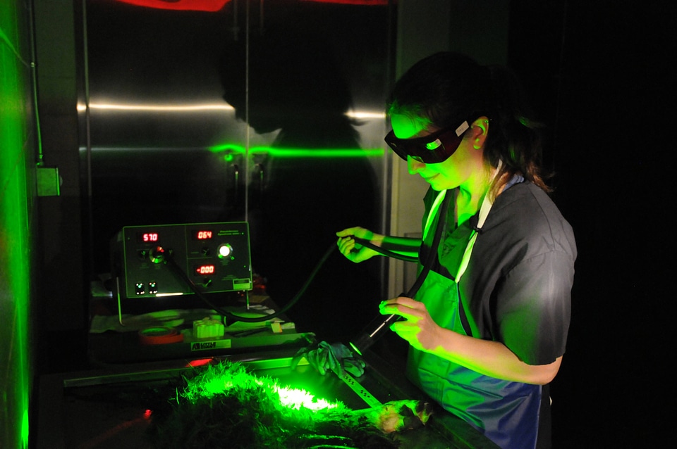 Ashland Forensics Lab-1
