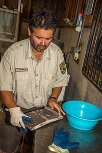 FWS staff employee prepares fish food-3