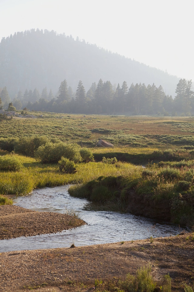 Stream through Sierra Nevada high alpine meadow-1