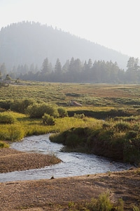 Stream through Sierra Nevada high alpine meadow-1