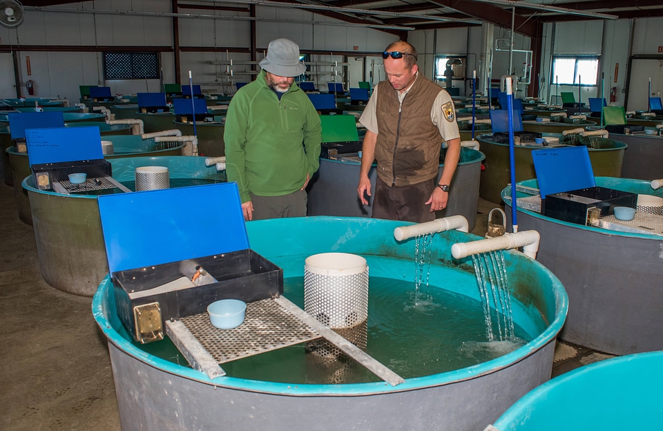 Recirculating tanks