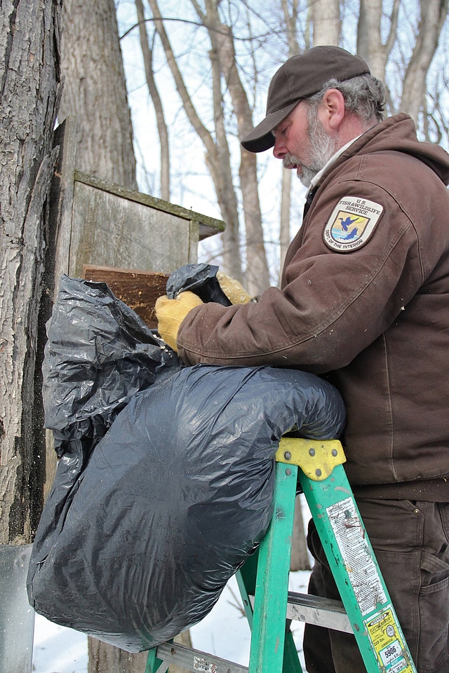 Nest box maintenance