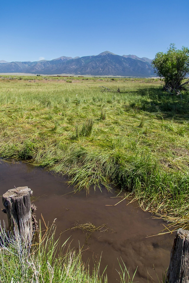 Wetland habitat