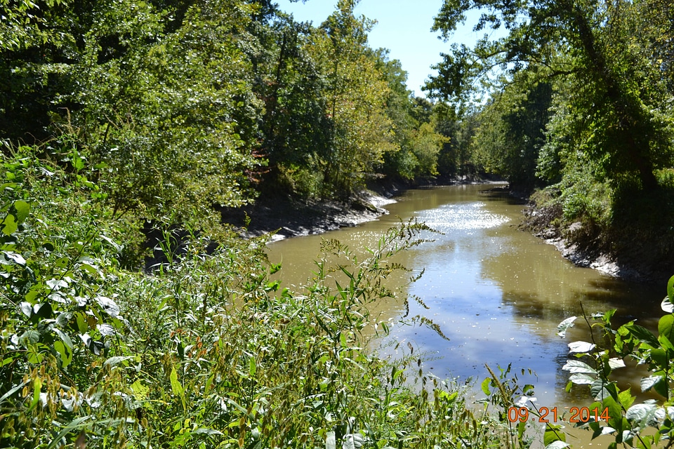 View of Patoka River with Dupont Tract
