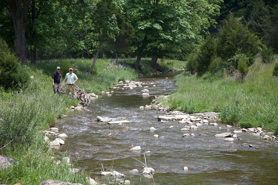 Brook Trout Restoration-1
