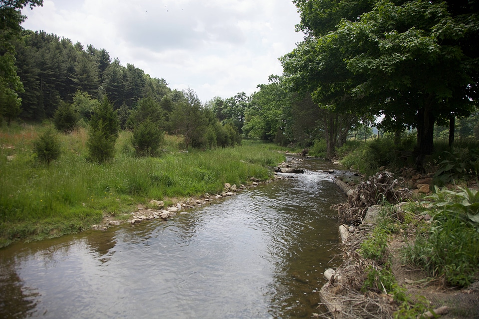 Brook Trout Restoration-1