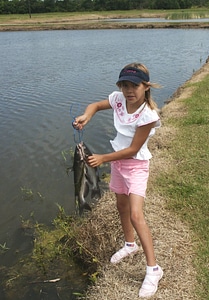 Child holds string of catfish photo