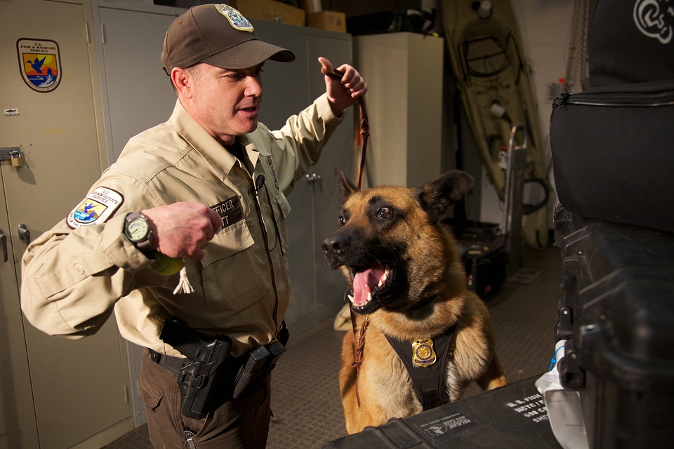 Law enforcement with K-9-1
