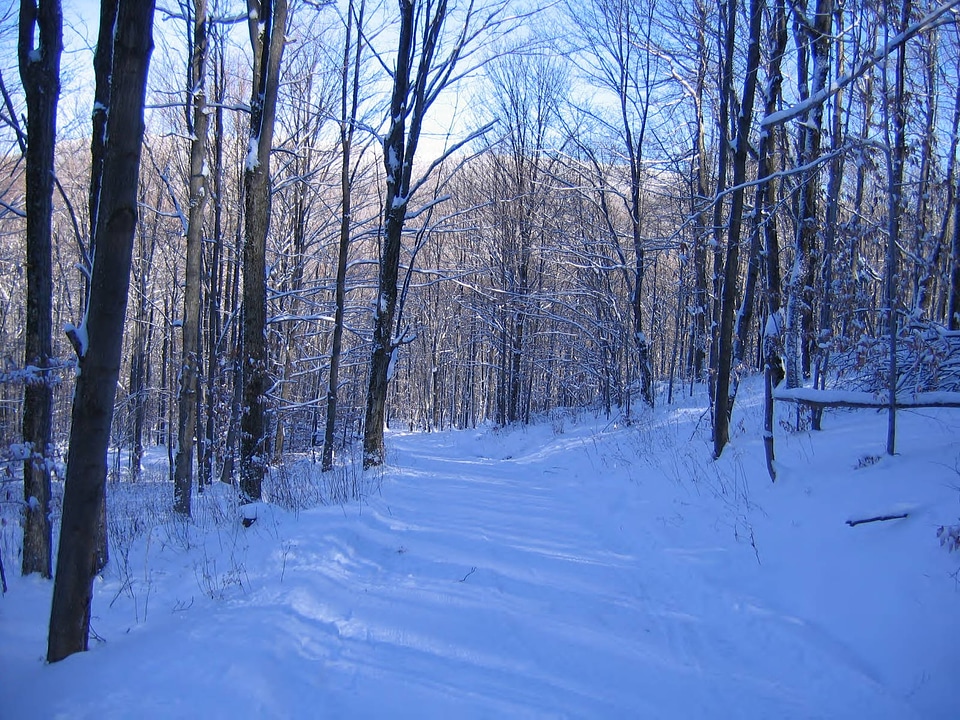 Snow covered road at Canaan Valley National Wildlife Refuge