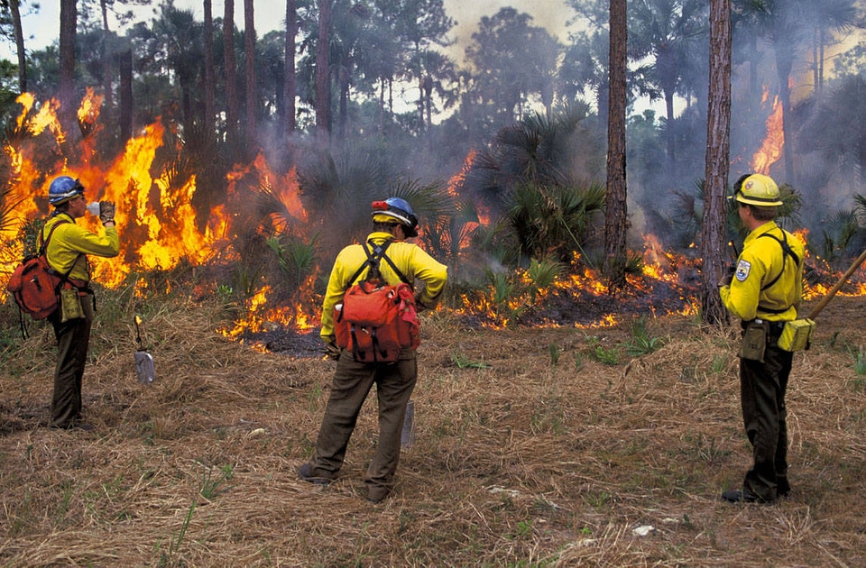 FWS Firefighters Monitor Perscribed Burn