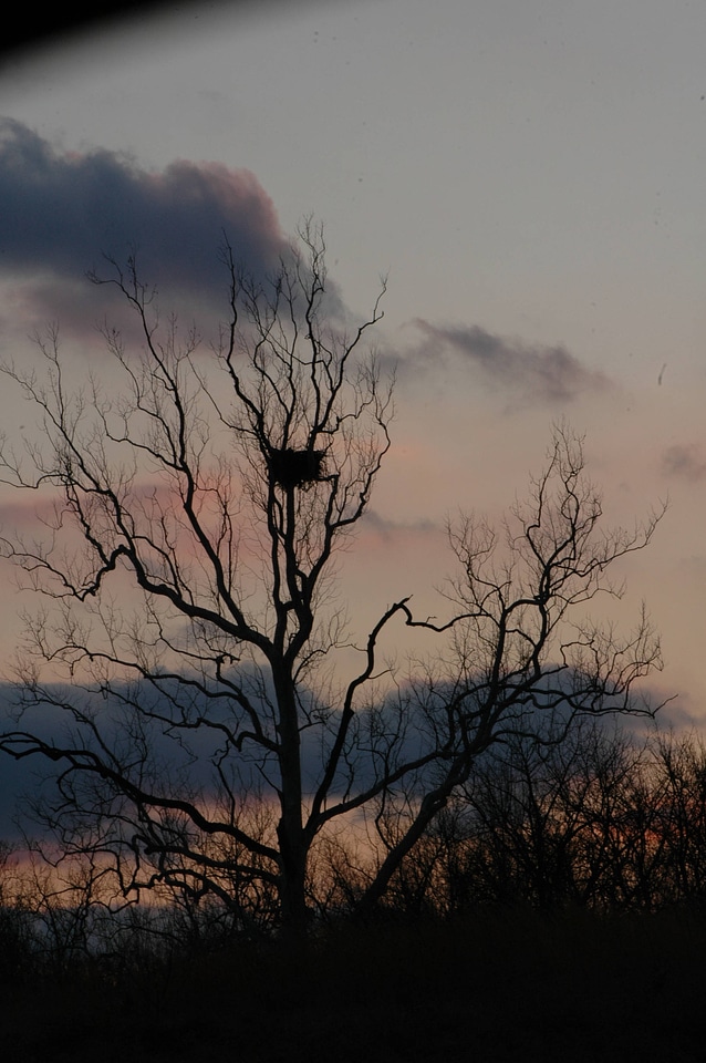 NCTC eagles nest at night-1
