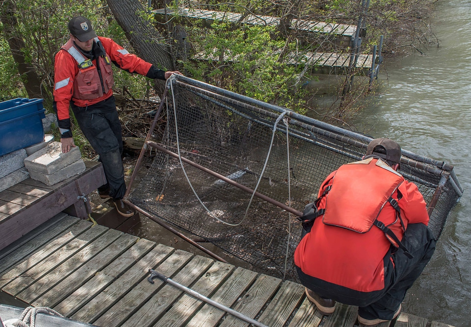 USFWS Fisheries crew preparing for lake sturgeon field work