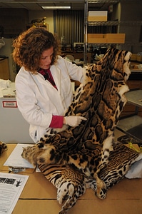 Ashland Forensics Lab-1